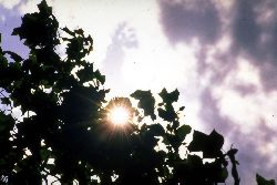 Sunenergy