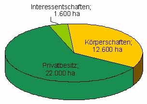 Die Besitzverhältnisse