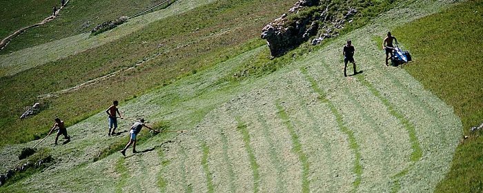 EU-Agrarreform: Südtirol kämpft für Berggebiete und Kleinbetriebe