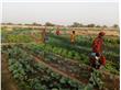 Entwicklungszusammenarbeit: In einem Partnerschaftsprojekt zwischen dem Land Südtirol und der Sahelzone (im Bild) wird in die Bereiche Ernährungssicherheit und Wasserversorgung investiert. Foto: Verein Freunde für Burkina Faso