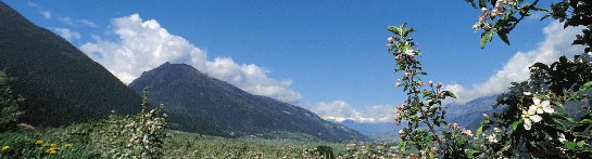 Vinschgau