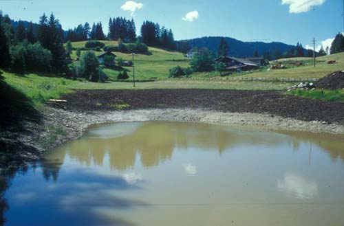 webpart_content_text 519 webpart_content_text 519