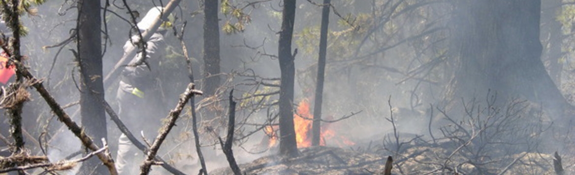 Rimborso spese per lo spegnimento di incendi boschivi