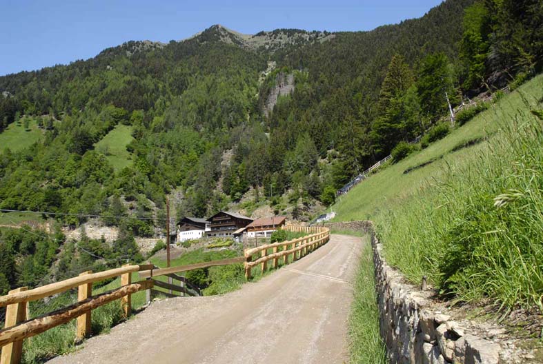 Lavori in economia dell'Ispettorato forestale Lavori in economia dell'Ispettorato forestale
