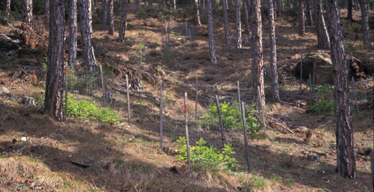 Campo di attività Campo di attività