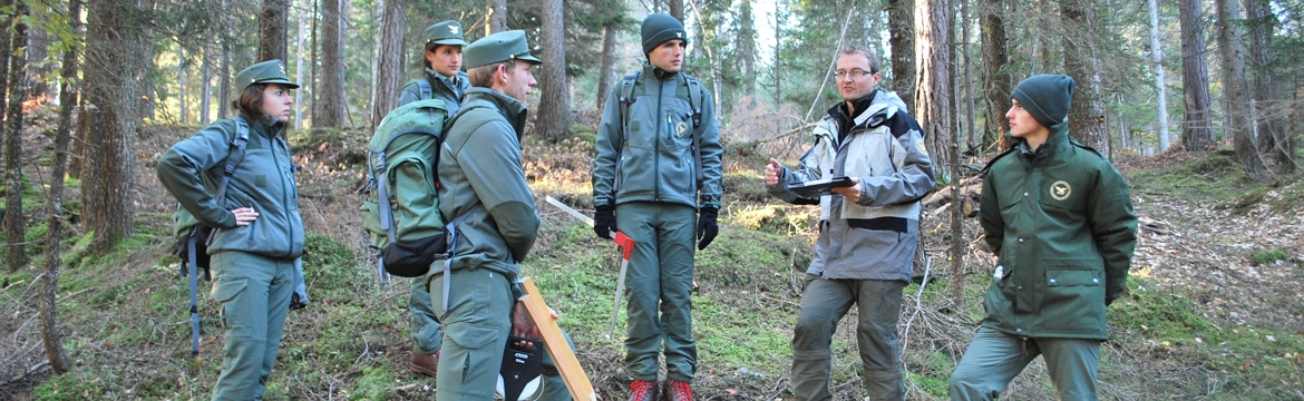 Ripartizione foreste Ripartizione foreste