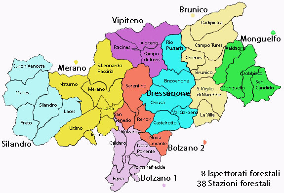 Organizzazione Organizzazione