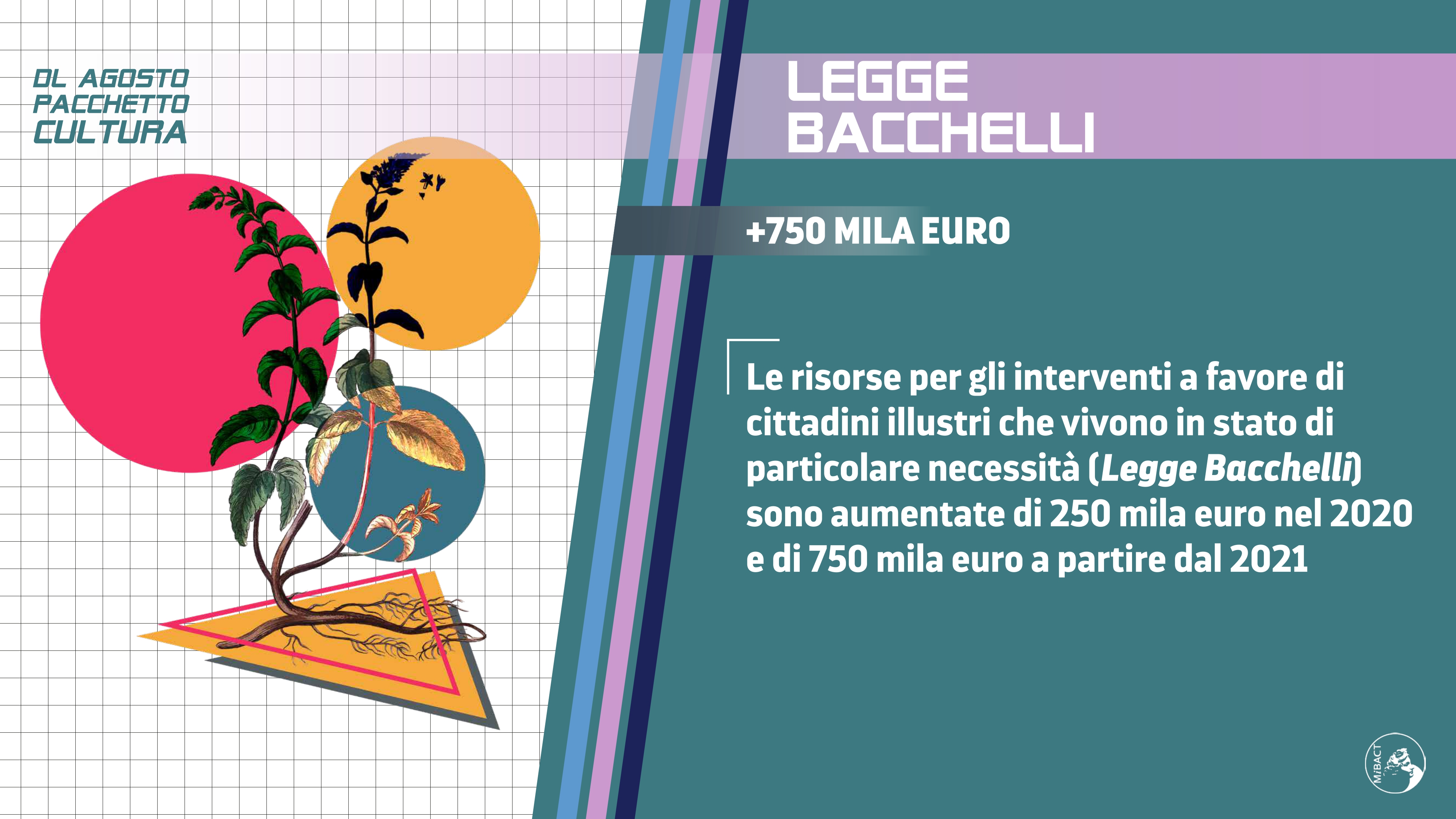 LEGGE BACCHELLI