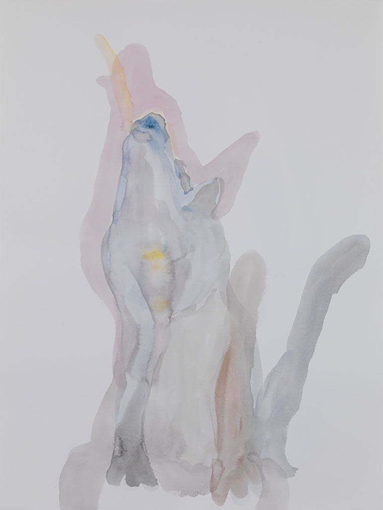 Laura Lovatel - Senza titolo / dalla serie L’ombra che ci trotterella dietro va a quattro zampe Laura Lovatel - Senza titolo / dalla serie L’ombra che ci trotterella dietro va a quattro zampe