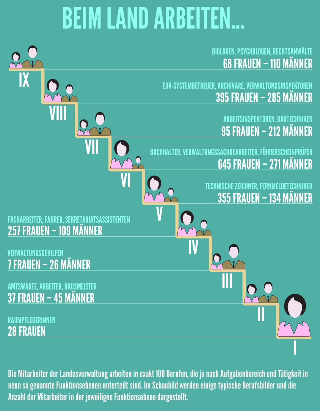 infografica sulle qualifiche funzionali