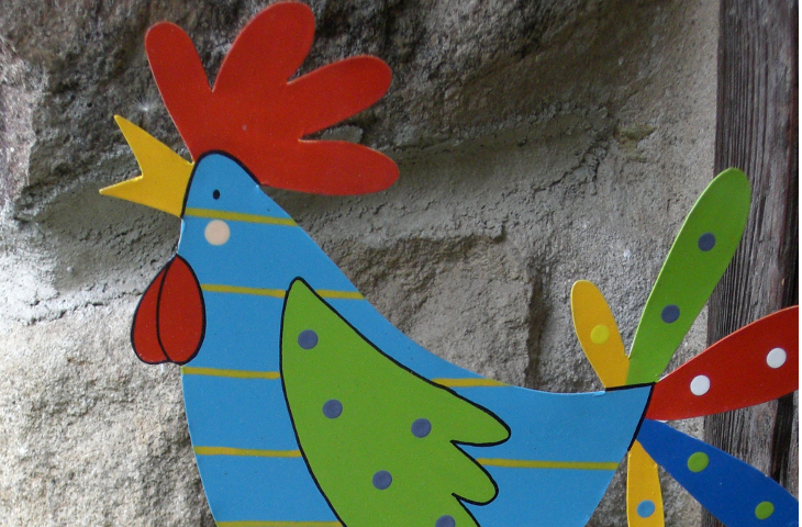  Foto eines bunten Hahnes - Symbol für die Bildung im Dorf
