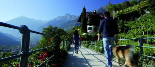 Passeggiata Tappeiner Immagine
