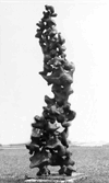 volo_kl.gif (7841 bytes)