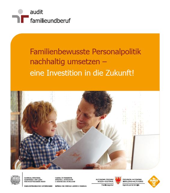 Broschüre auditfamilieundberuf