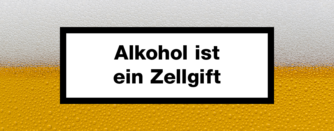 Keine Kompromisse Keine Kompromisse
