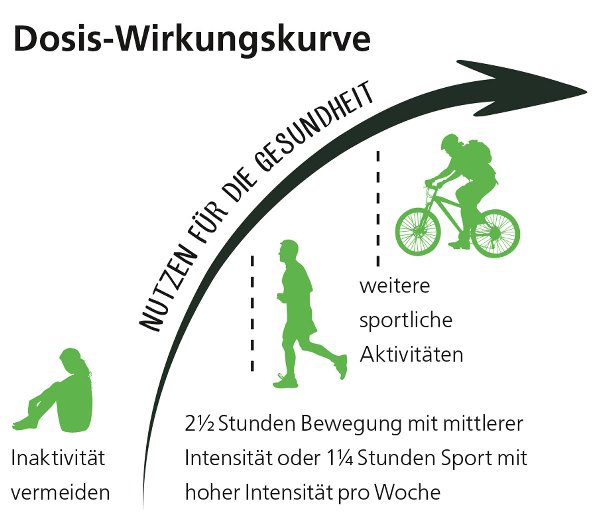 Wieviel Bewegung ist gesund?