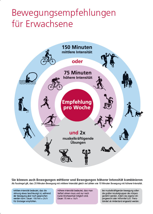 Grafische Darstellung der Bewegungsempfehlungen für Erwachsene