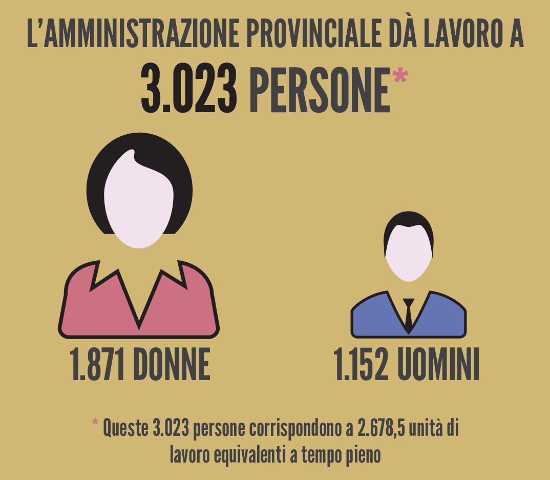 infografica sul personale