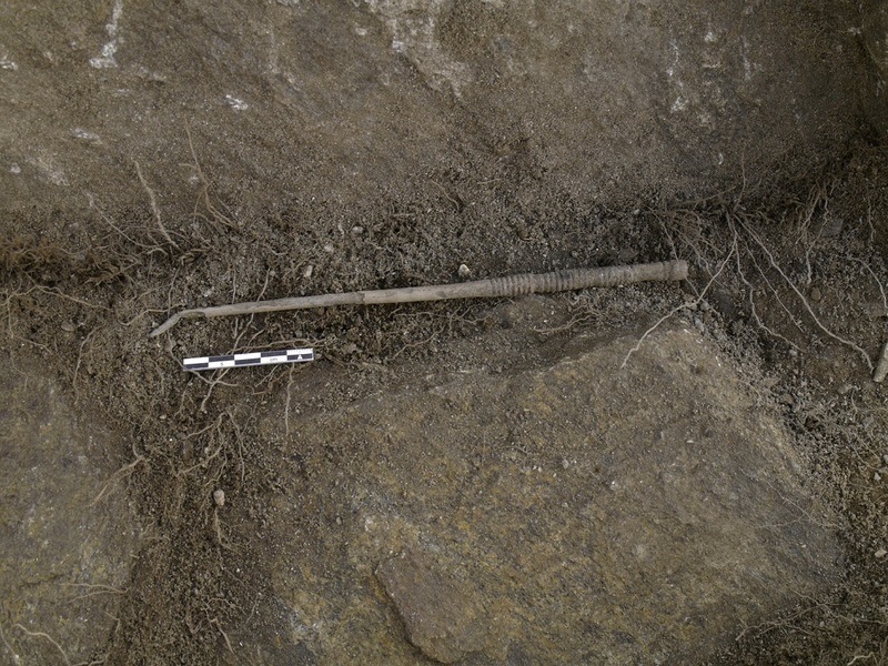 Pfossental, bronzezeitliche Gewandnadel in Fundlage (14. Jahrhundert v. Chr.)