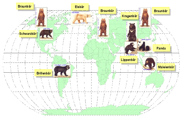 Weltweite Verbreitung der Großbären