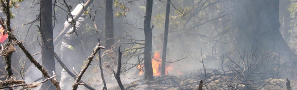 Rückvergütung für Ausgaben bei Waldbrandeinsatz