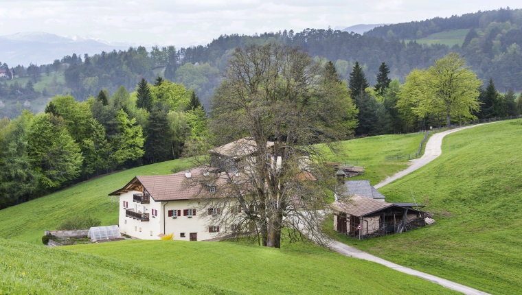 Waldagenda 2030 - Unterstützung der forstlichen Betriebe