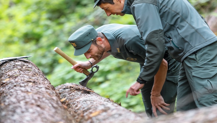 Waldagenda 2030 - Ausbau der Holznutzung