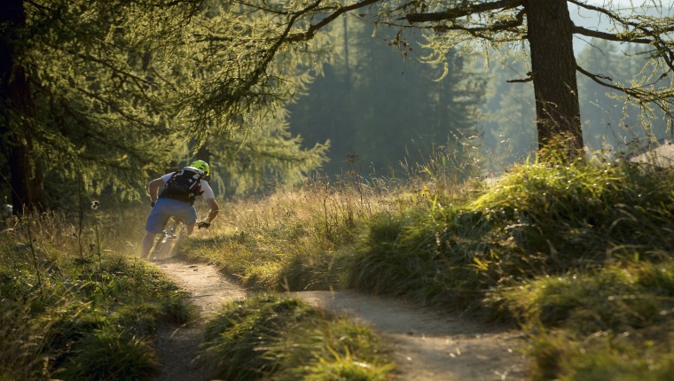 Waldagenda 2030 - Dialog mit der Gesellschaft