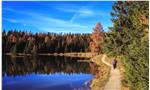 Das Herbstbild von Cecilia Meggio