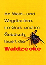 Waldzecke