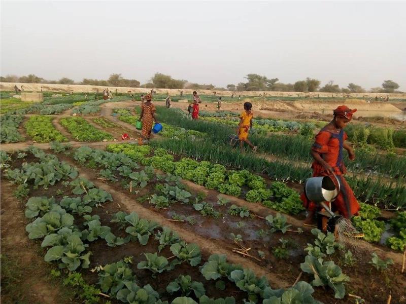 Nell’area del Sahel la Provincia sostiene progetti nel settore della sicurezza alimentare e dell’approvvigionamento idrico (Foto: Ass. Amici del Burkina Faso)