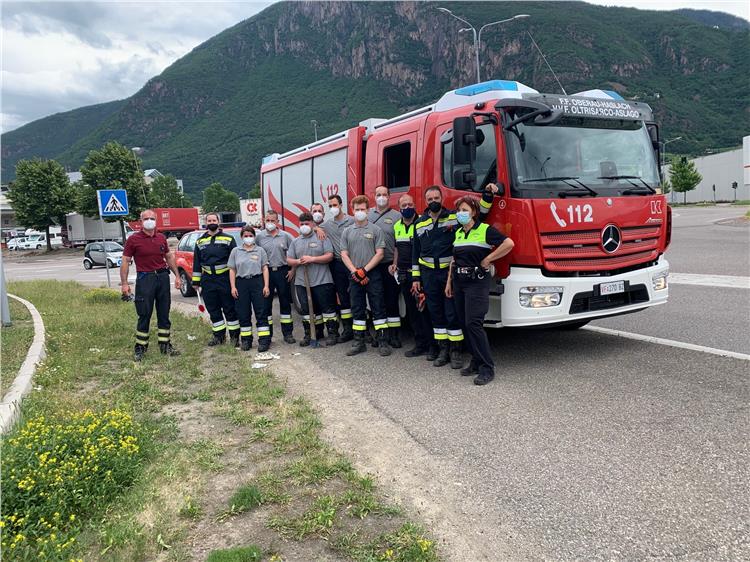 Gatto bloccato in un tubo